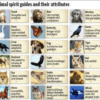 Spirit Animal Oracle Cards - Image 2